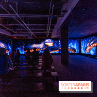 Toutankhamon, l'expérience immersive Pharaonique - les photos -  A7C4358