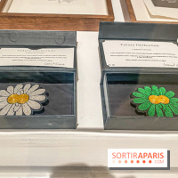 Exposition Perrotin Editions : Tous Collectionneurs ! à la galerie Perrotin - IMG 4295