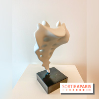 Exposition Perrotin Editions : Tous Collectionneurs ! à la galerie Perrotin - IMG 4318