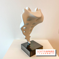 Exposition Perrotin Editions : Tous Collectionneurs ! à la galerie Perrotin - IMG 4319