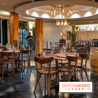 Signorvino - image00011