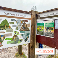 Le sentier de l'érosion à Fontainebleau - balade en forêt - IMG 6594