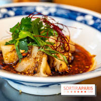 Nouilles Ban Ban restaurant  -  raviolis