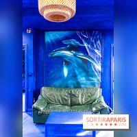 Colors Festival 2024, la nature reprend ses droits  -  A7C5746