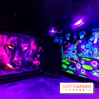 Colors Festival 2024, la nature reprend ses droits  -  A7C5713