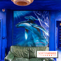 Colors Festival 2024, la nature reprend ses droits  -  A7C5744