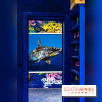 Colors Festival 2024, la nature reprend ses droits  -  A7C5735