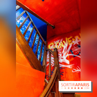 Colors Festival 2024, la nature reprend ses droits  -  A7C5754