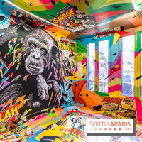 Colors Festival 2024, la nature reprend ses droits  -  A7C5760