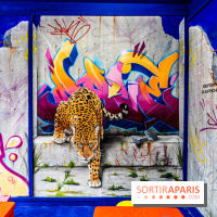 Colors Festival 2024, la nature reprend ses droits  -  A7C5758