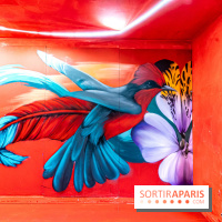 Colors Festival 2024, la nature reprend ses droits  -  A7C5769