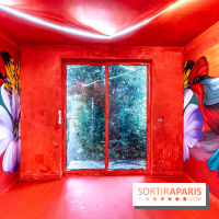 Colors Festival 2024, la nature reprend ses droits  -  A7C5768