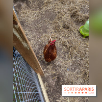 Demeures de Campagne : une évasion verte et cocooning à 35 minutes de Paris