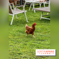 Demeures de Campagne Parc de Coudray : une évasion verte et cocooning à 35 minutes de Paris  - IMG 8285