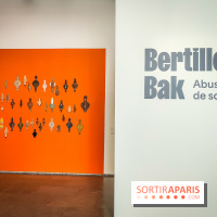 Abus de souffle, l'exposition photo humaniste et engagée de Bertille Bak se dévoile au Jeu de Paume - IMG20240212110641