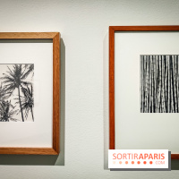 Tina Modotti : l'exposition photo rétrospective au Jeu de Paume - nos photos - IMG20240212100339