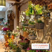 Cordelia Castellane Coffee Flower Shop