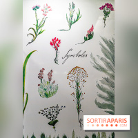 Le Métro Tuileries en mode végétal -  A7C5665