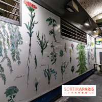 Le Métro Tuileries en mode végétal -  A7C5668