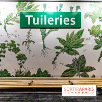 Le Métro Tuileries en mode végétal -  A7C5673