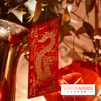 Visuels Nouvel An Lunaire / Nouvel An Chinois - DSC 0638