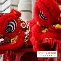 Visuels Nouvel An Lunaire / Nouvel An Chinois - DSC 0615