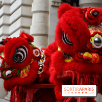 Visuels Nouvel An Lunaire / Nouvel An Chinois - DSC 0612