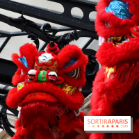 Visuels Nouvel An Lunaire / Nouvel An Chinois - DSC 0589