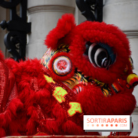 Visuels Nouvel An Lunaire / Nouvel An Chinois - DSC 0586