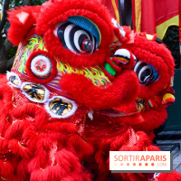 Visuels Nouvel An Lunaire / Nouvel An Chinois - DSC 0551