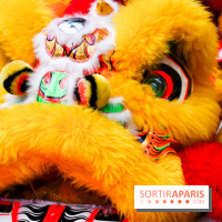 Visuels Nouvel An Lunaire / Nouvel An Chinois - DSC 0517