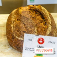Pane Vivo, le pain au blé dur ancien