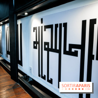 Tania Mouraud, nos photos de son expo à Fluctuart