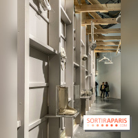 Toucher l'insensé, l'exposition collective au Palais de Tokyo