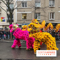 Défilé du Nouvel an Lunaire du 13e 2024 - nos photos - image00037