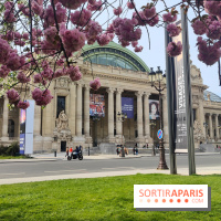 Visuel Paris 8e - Grand Palais printemps 