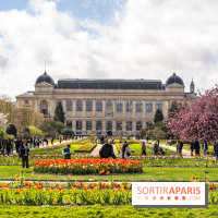 Visuel Paris 5e -  jardin des plantes - museum - printemps - cerisiers