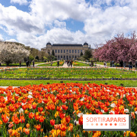 Visuel Paris 5e -  jardin des plantes - museum - printemps - fleurs