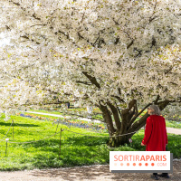 Visuel Paris 5e -  jardin des plantes - museum - printemps - cerisiers
