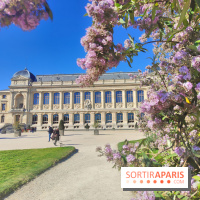 Visuel Paris 5e - Muséum jardin des plantes 