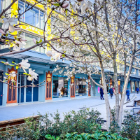 Visuel Paris 4e - Samaritaine arbres fleuris printemps