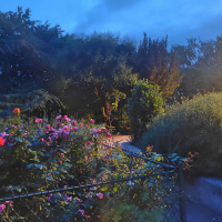 Visuel Paris 4e - square Barye nuit