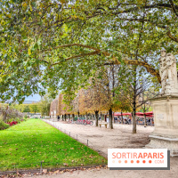 Visuel Paris 1er - jardin des Tuileries automne 
