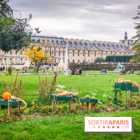 Visuel Paris 1er - jardin des Tuileries automne 