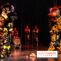 Nouvel An lunaire au Musée Guimet par le Collectif Banh Mi -  A7C6980