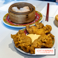 New Hao Khoan, le restaurant chinois et vietnamien, valeur sûre du 13e - raviolis frits