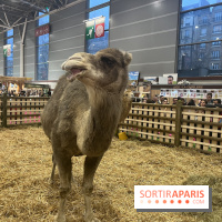 Salon de l'agriculture 2024 - image00057