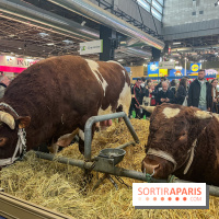 Salon de l'agriculture 2024