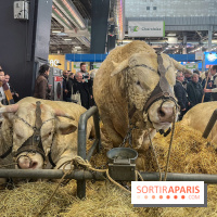Salon de l'agriculture 2024