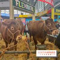 Salon de l'agriculture 2024 - image00039